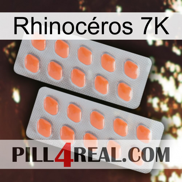 Rhinocéros 7K 27
